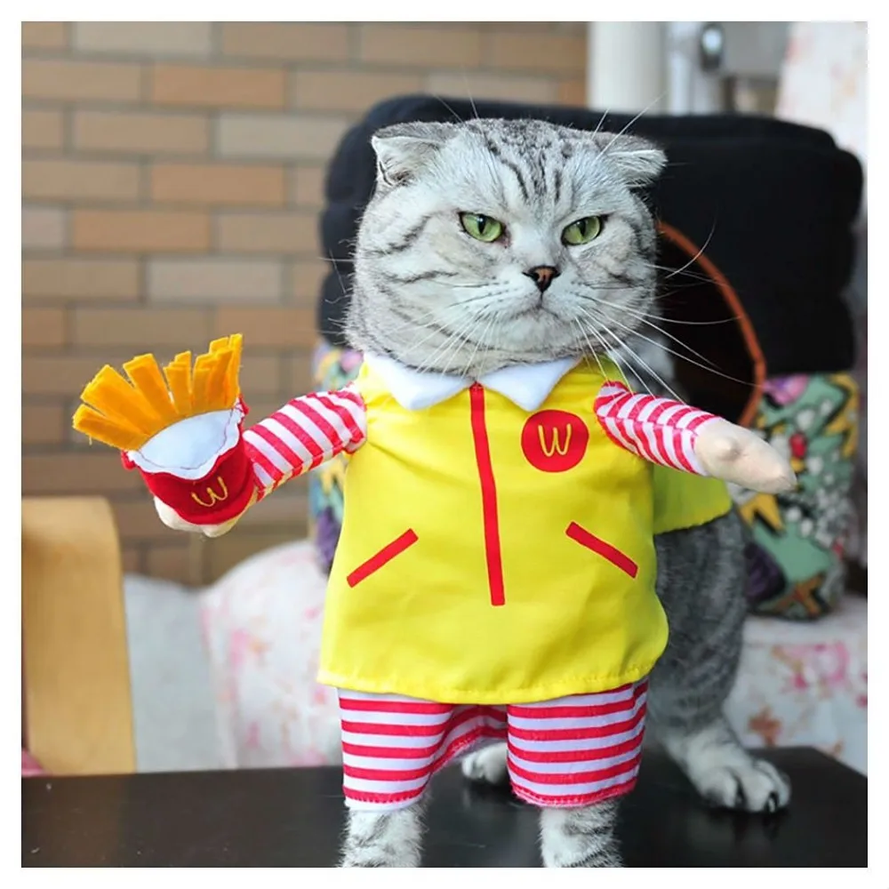 Traumdeutung Funny Small Cats Clothes Puppy Dogs Clothing Waiter Halloween For Dress Pets Cat Costume Products vetement chat in Cat Clothing from Home