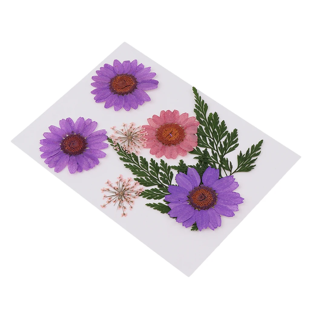 Natural Pressed Dried Flowers for Resin Molding Decors Jewelry Making Phone Case Decoration DIY Scarpbooking Supplies