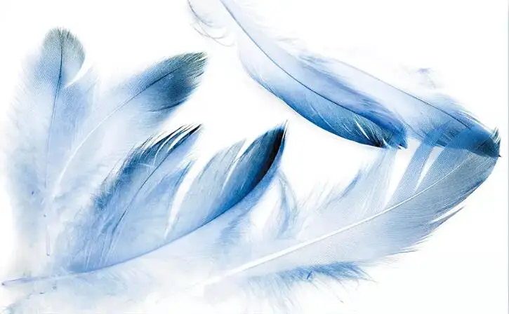QQ20181007173319