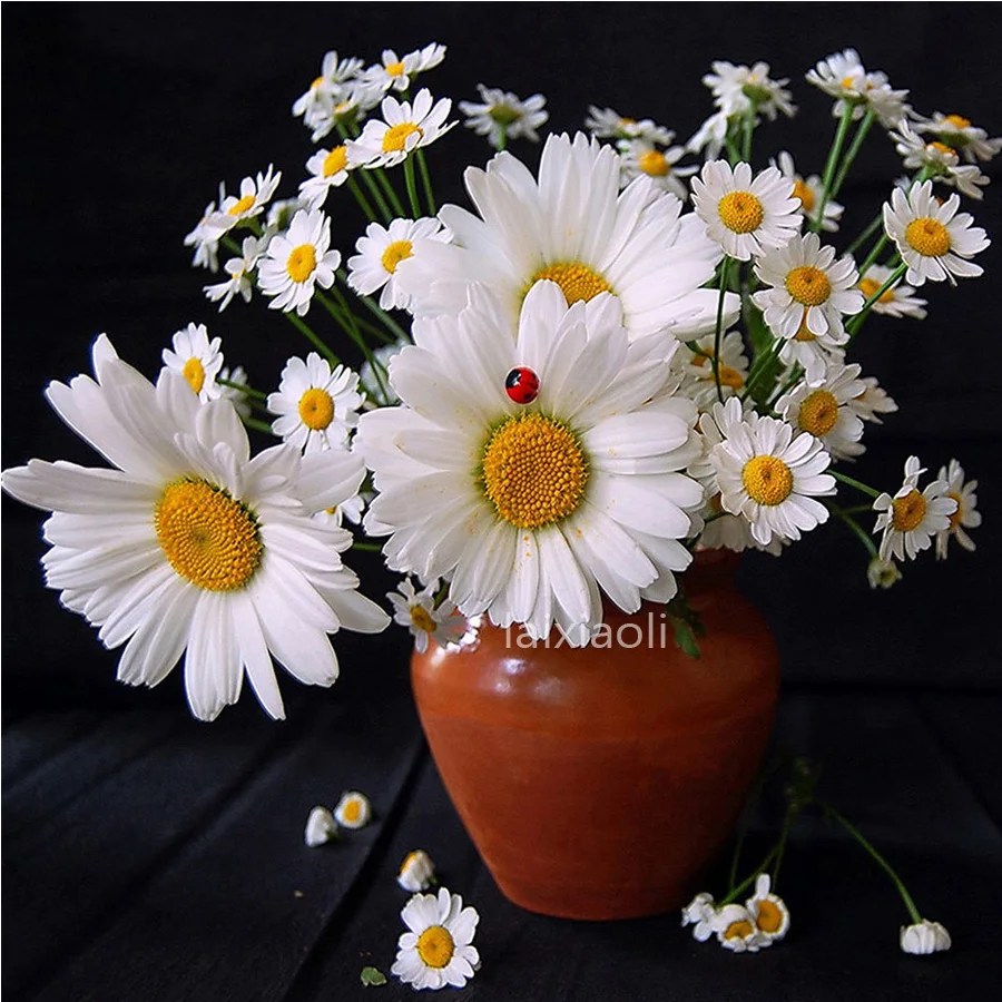 

DIY Diamond Painting Cross Stitch Full square round Resin Needlework Daisy Pictures Diamond Embroidery Flower icon Mosaic Crafts