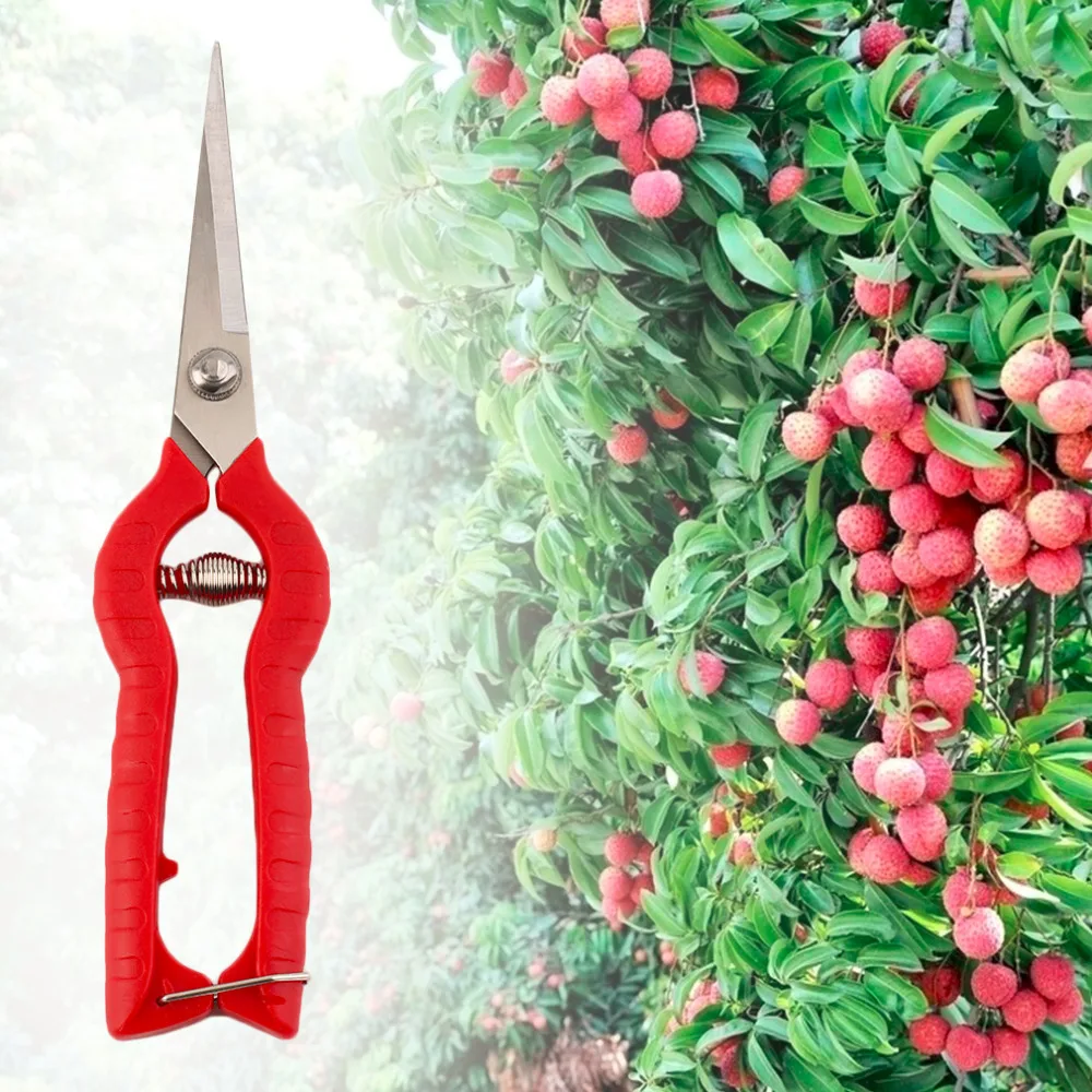 New Plant Pruning Scissors Garden Cutter Flower Shears Hand Pruner Tool DIY Cheap Price Worldwide Store