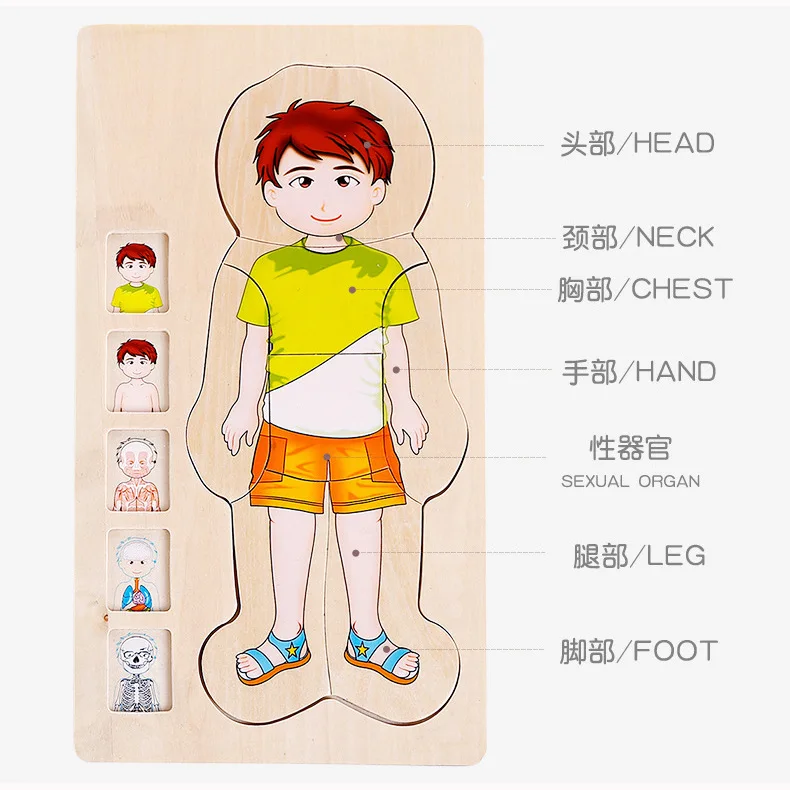 Мульти-многослойные деревянные головоломки человеческого тела строительные игрушки для детей для раннего развития тела познание Детские игрушки Пазлы