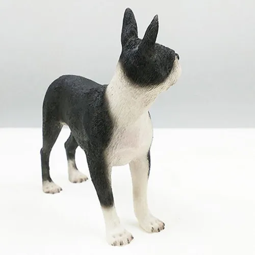 American BOSTON TERRIER dog figure 9