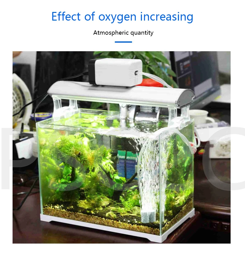 SUNSUN CT серия аэратор для аквариума, Ультра тихий воздушный насос для аквариума воздушный компрессор кислородный воздушный насос одиночный и двойной выход