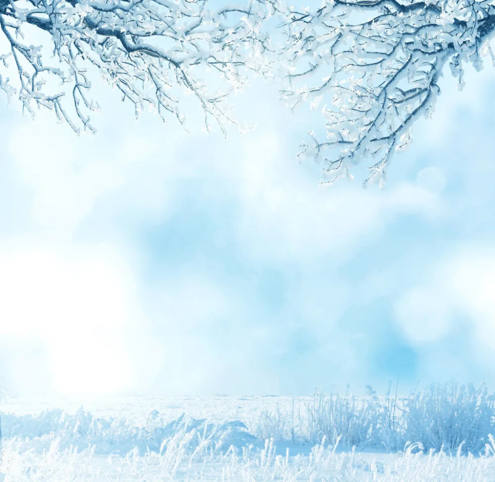 

SHENGYONGBAO 10x10ft Christmas theme Vinyl Custom Photography Backdrops Props Studio Background S-2072