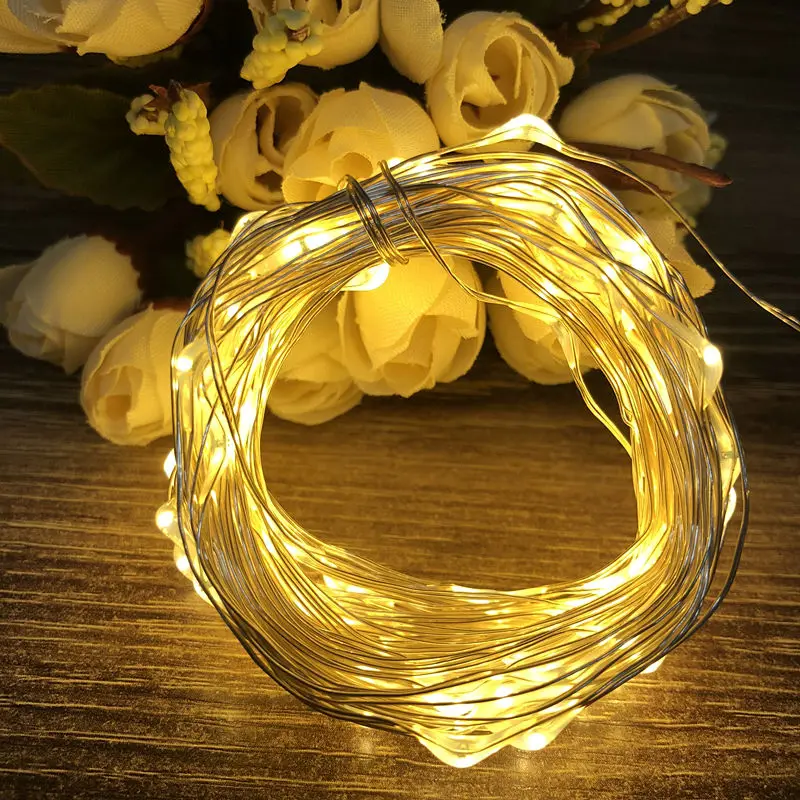 

2M 3M Copper wire Waterproof LED string light Battery powered Fairy string Light for Party Wedding Christmas decoration light