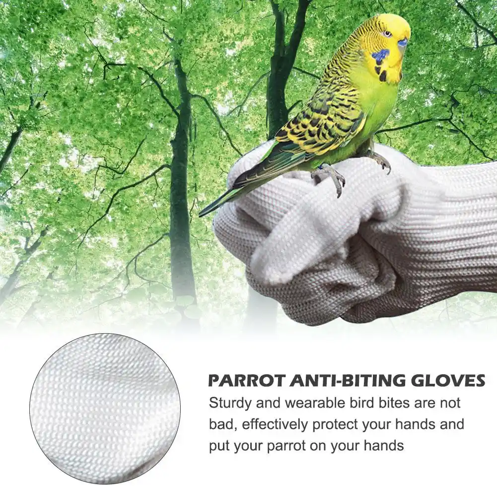parrot training gloves