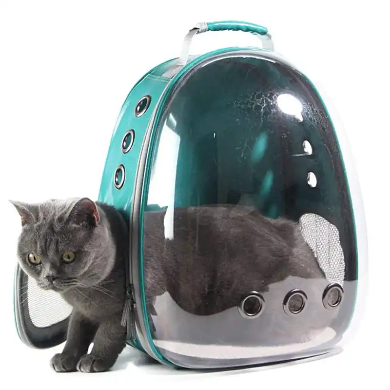 cat carry case