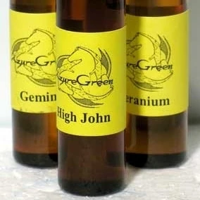 AzureGreen OGINC Ginger Oil 2 Dram (1)