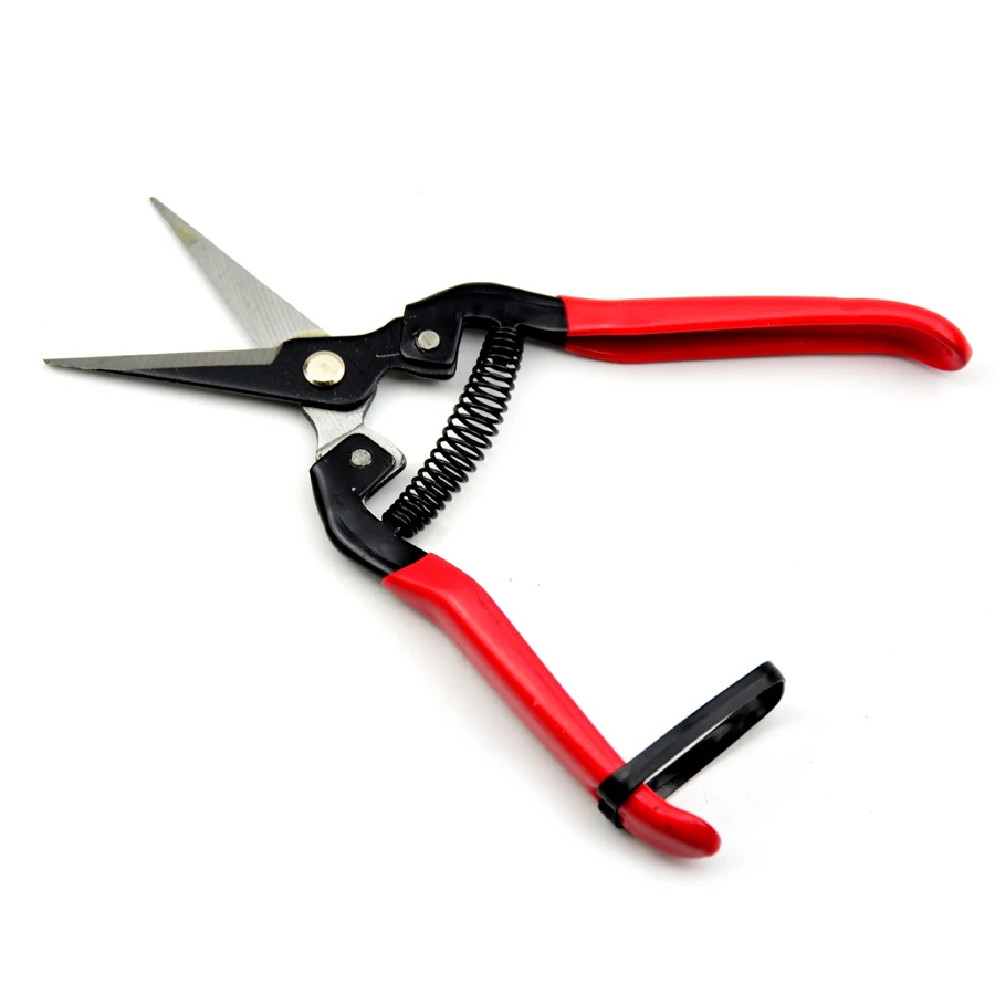 Free Shipping6.5" Pruning Shears, 165mm HCS Garden Scissors, Fruit