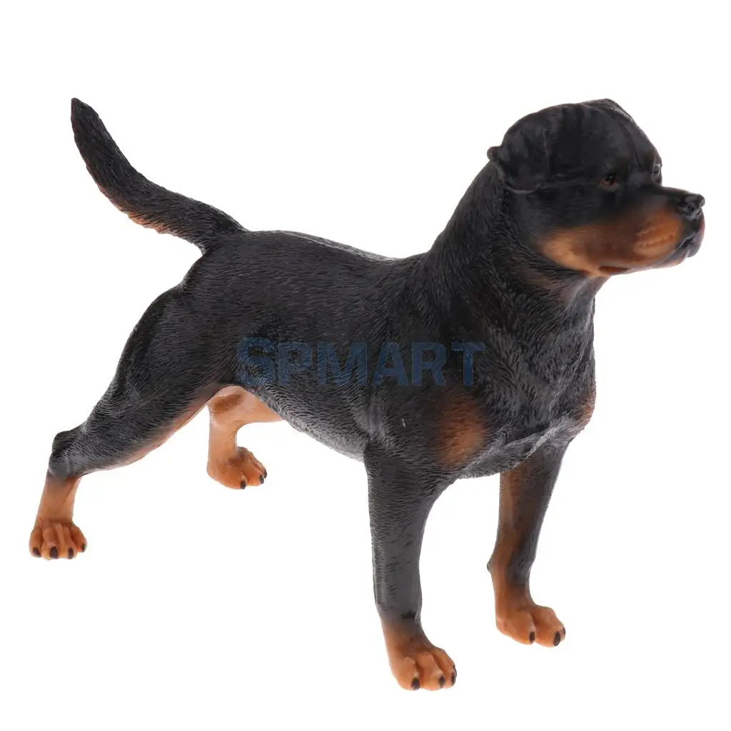 Simulation Wildlife Farm Pet Animal Model Action Figures Figurine Kid Educational Science Nature Toy Home Collectible Decoration