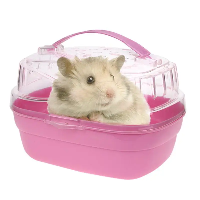 Pet hamster