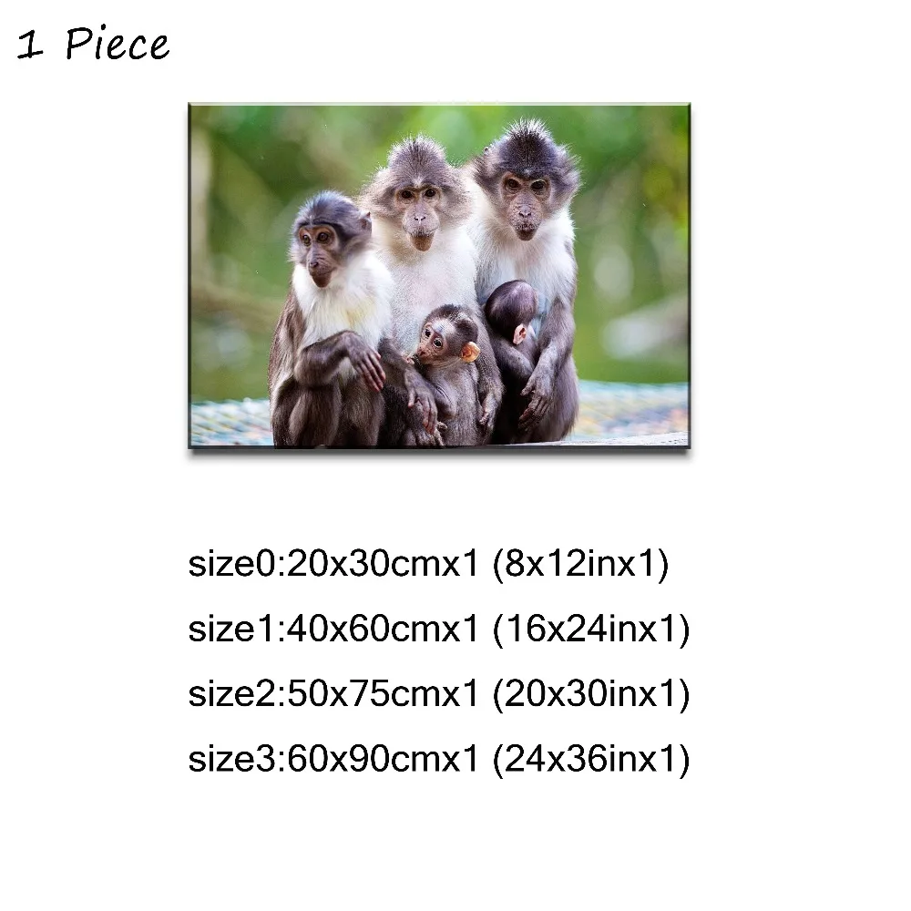 1P- 