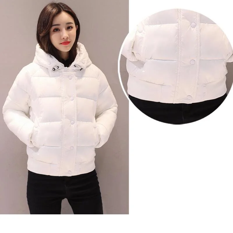 Autumn Winter Jacket For Women Latest Style Fake fur Female Coat Jackets Woman Winter Coat Hooded Slim Women Parkas Outwear