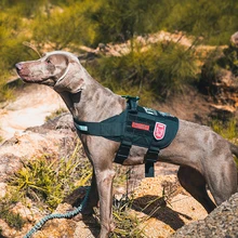 OneTigris тактический жилет для тренировки собак обработанный собачий жгут свет светоотражающий сервис собака жилет петля по бокам для ID патч