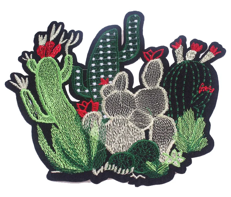 cactus patch (6)