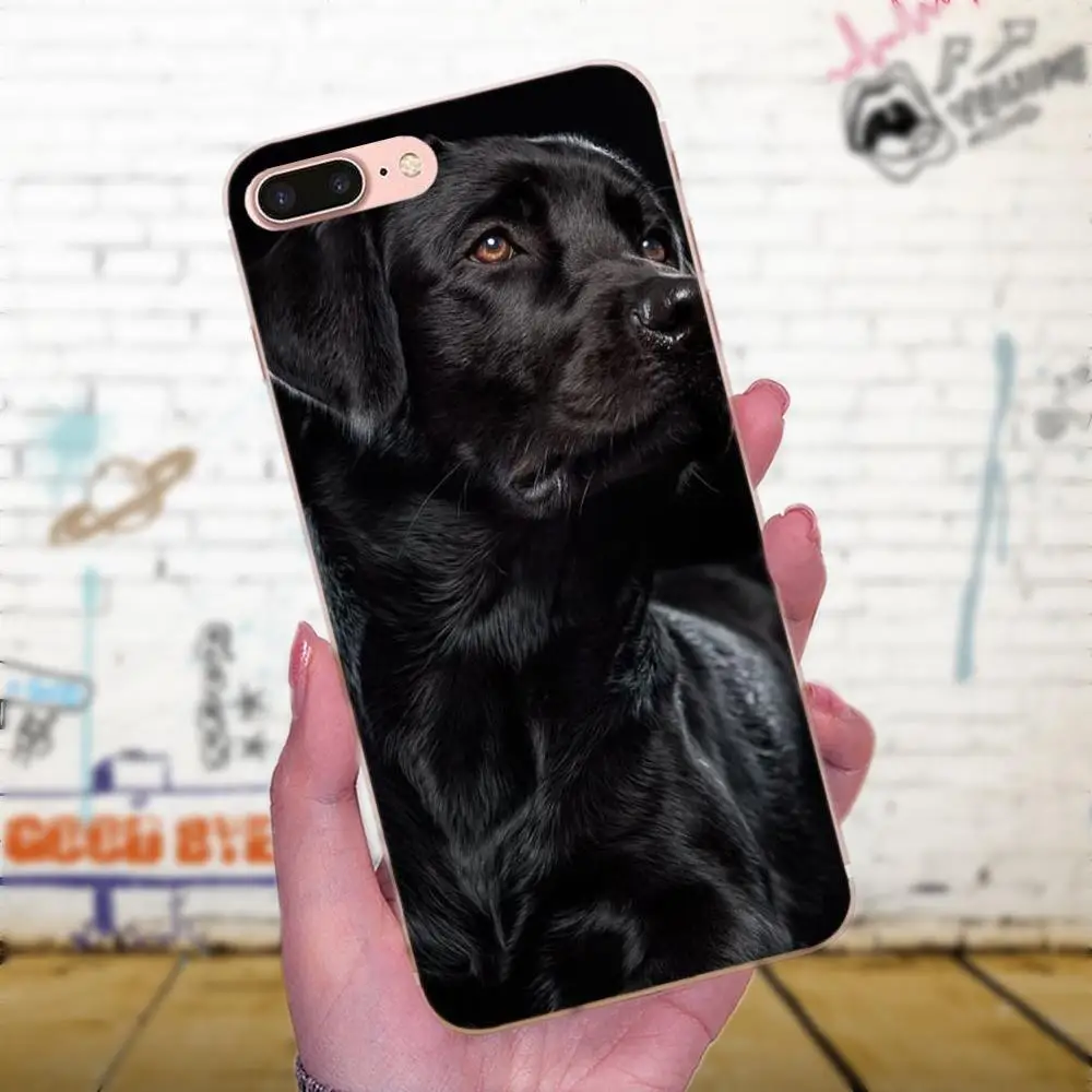 Черный лабрадор Лабрадор светит щенка для LG G4 G5 G6 K4 K7 K8 K10 2017 V10 V20 V30 Stylus Nexus 5 5X G2 G3 mini