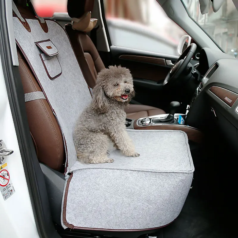 Car seat dog