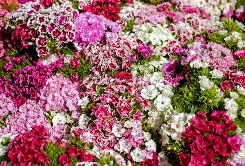 

Laeacco Blossom Flowers Photographic Backgrounds Customized Photography Backdrops For Photo Studio