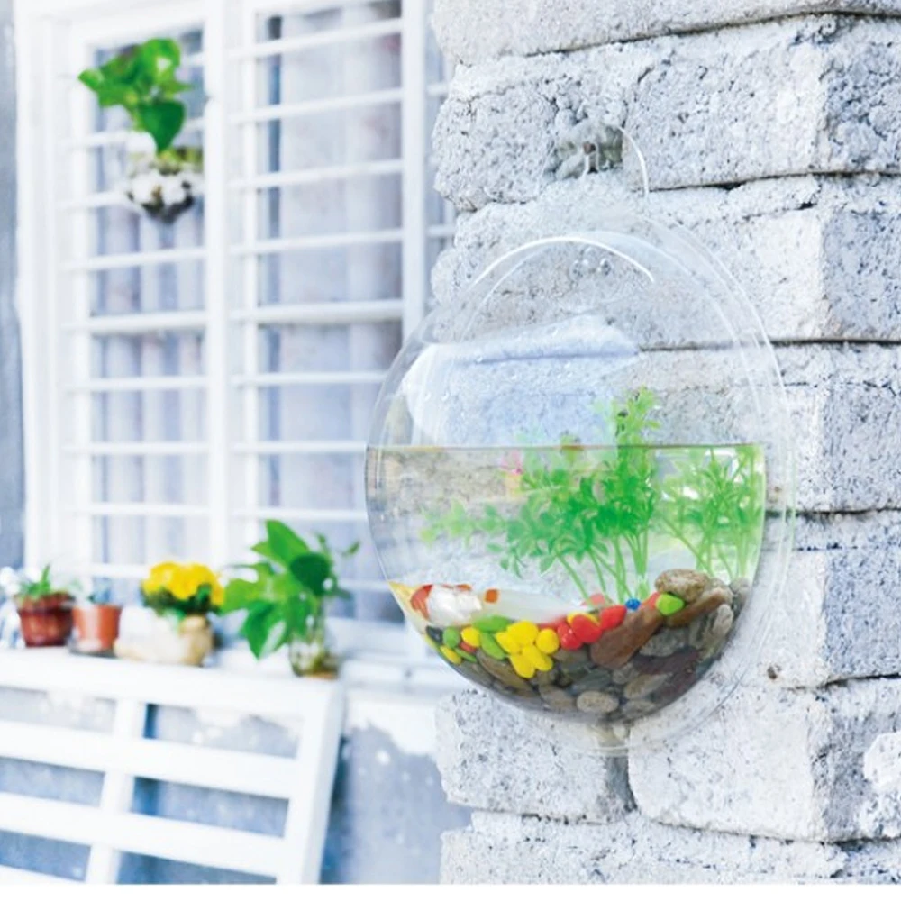 Behokic Dia 23cm 29 5cm Acrylic Fish Bowl Wall Mount Hanging Aquarium Aquatic font b Pet