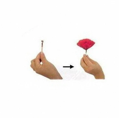 

Free shipping 2 pcs/lot Match To Rose Magic Trick