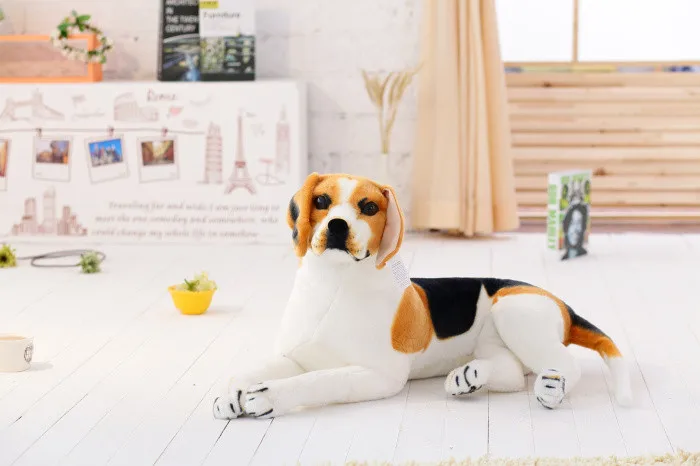_MG_8588