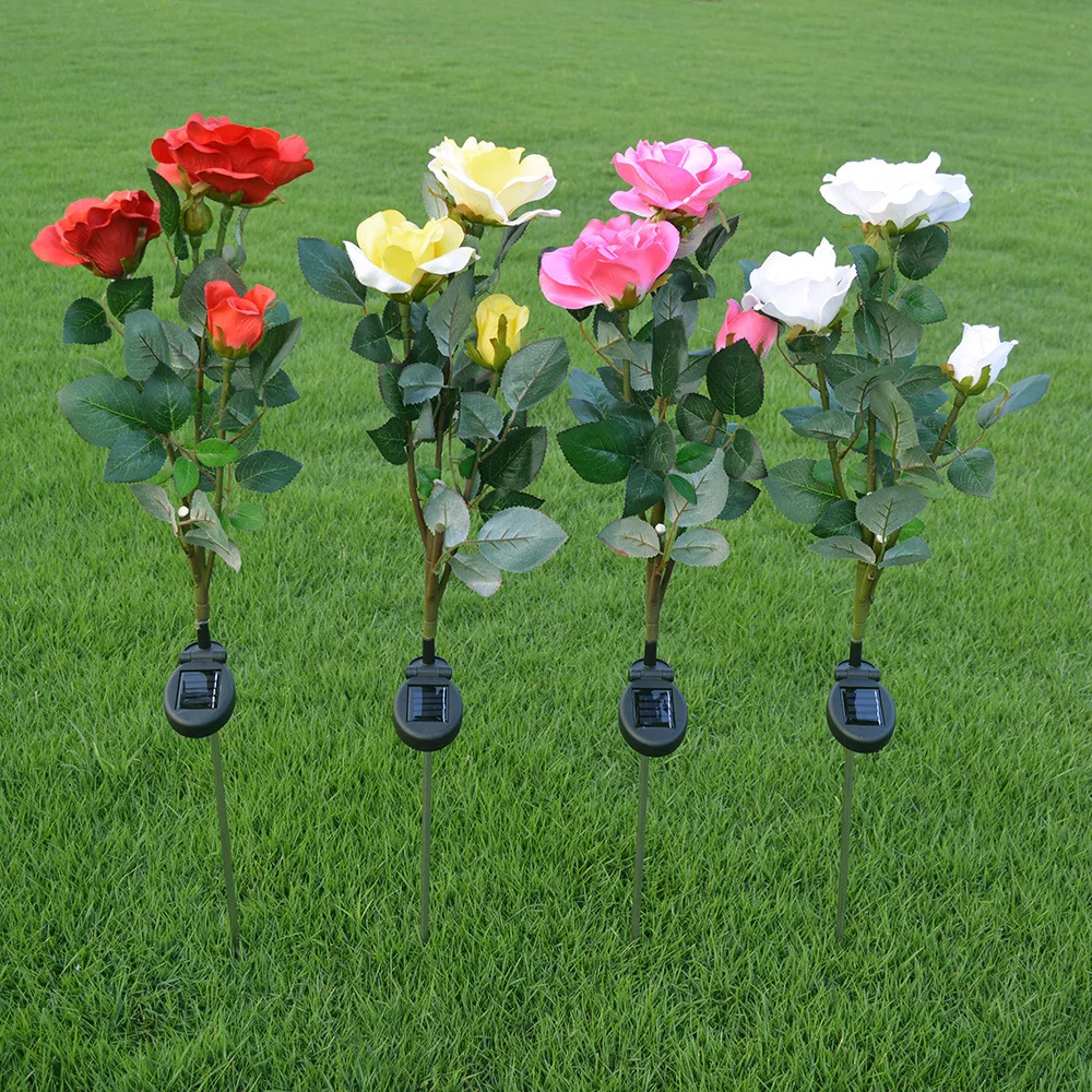 2 (1)