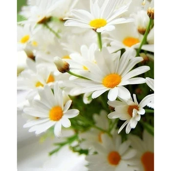 

5d Diy Full Square/round Diamond Drill Painting Embroidery Daisy Flower Cross Stitch Rhinestone Mosaic Home Decor Sale Kit