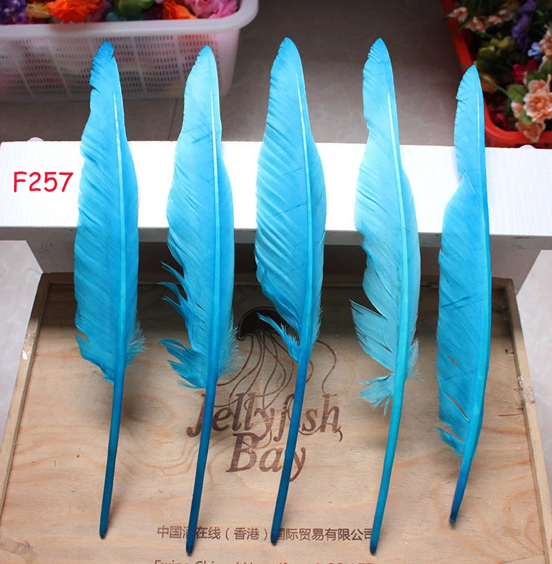 

Wholesale 100pcs goose feather humpback 30-35cm/12-14inch /Lake blue