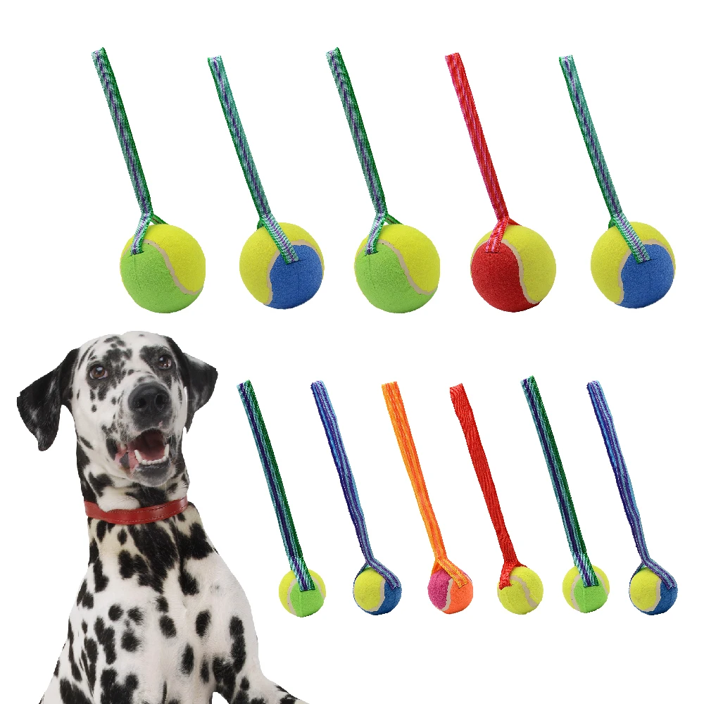 Interactive Dogs Toys Tennis And Rope For Big Dog Chew Toys Three