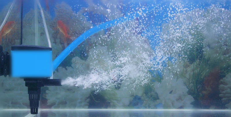 HTB1NP9qeval9eJjSZFzq6yITVXaH