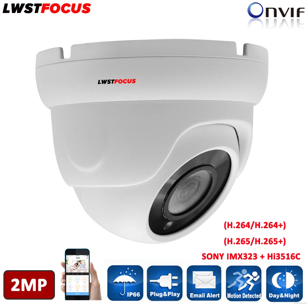 

LWSTFOCUS H.264 H.265 CCTV IP Camera 1080P 2MP Network Dome Camera Built-in SD Card Slot 48V PoE IP 67 IR 30m ONVIF Max 128GB