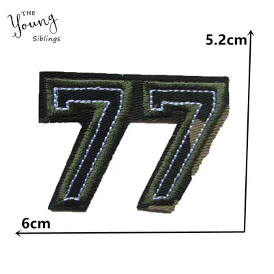 C6079 (5)