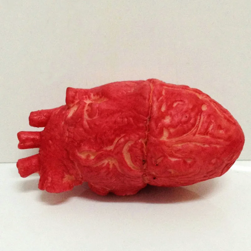 Bloody-Zombie-Food-Human-Heart-Chop-Shop-Body-Part-Organ-Halloween-Horror-Prop-Toy-Party-Accessories (3)