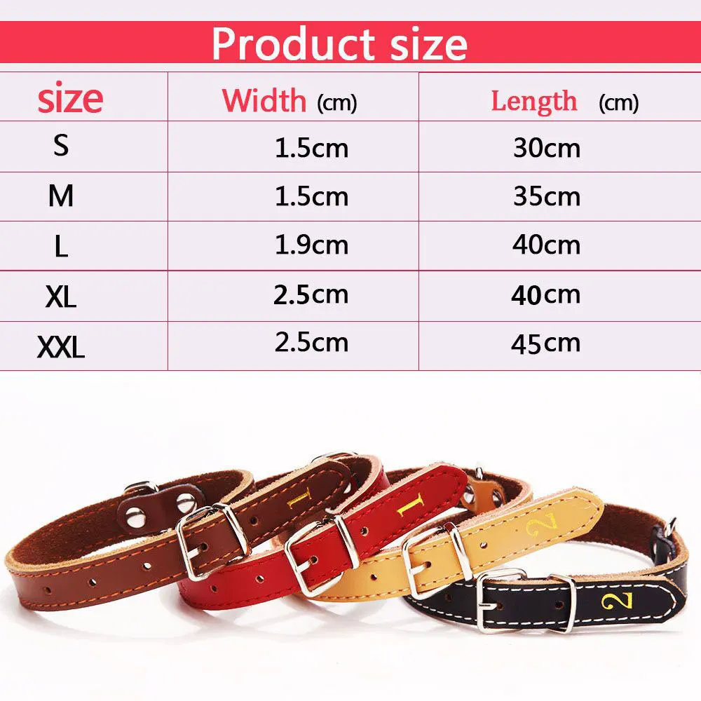 Dog Collars JW0030-6