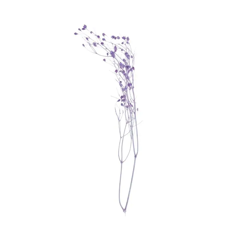 2SS303558-3