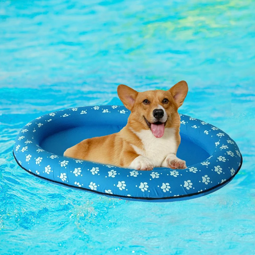 inflatable dog pool toy