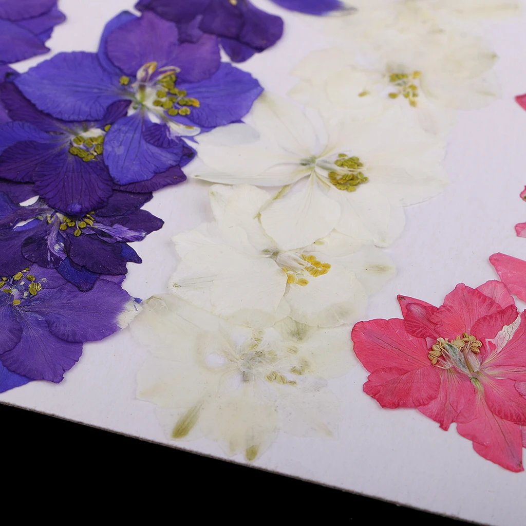 20 Pieces Pressed Flowers Real Delphinium Dried Flowers for Jewelry Making Crafts Candle Making DIY Resin Ornament Artificial