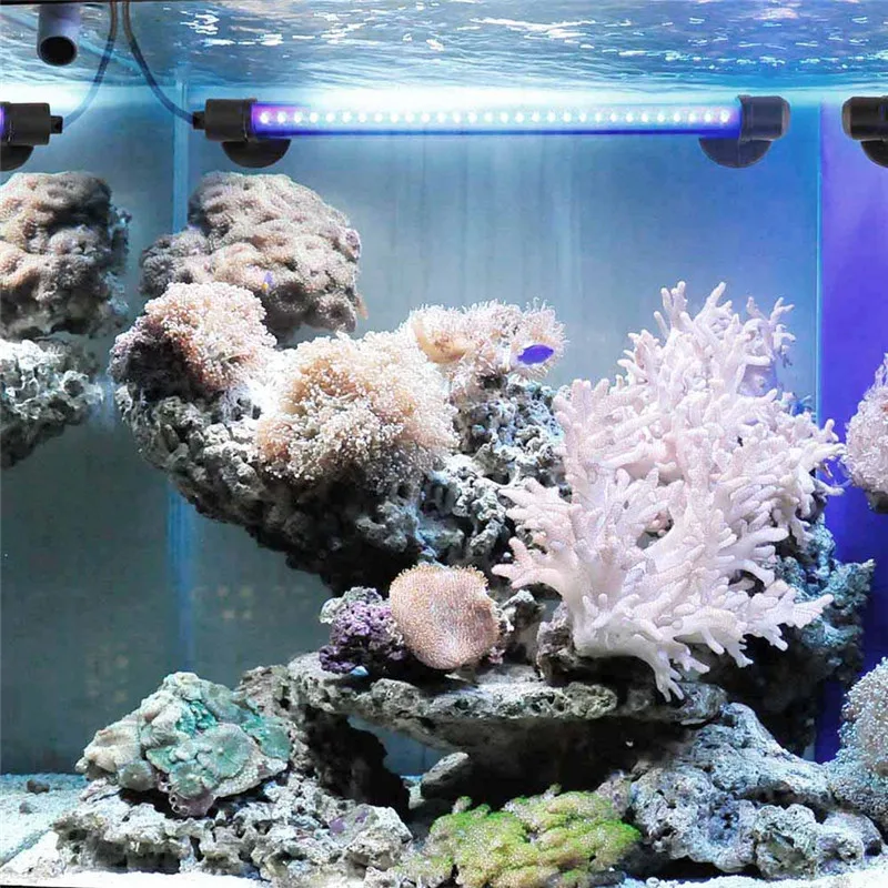 HTB1oI9HSFXXXXcBXXXXq6xXFXXXi