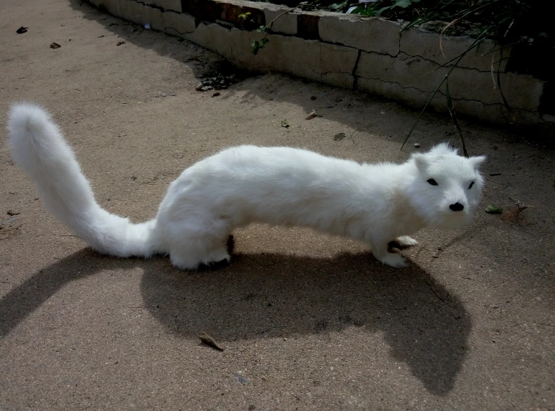 white simulation weasel toy resin&fur creative weasel doll gift about