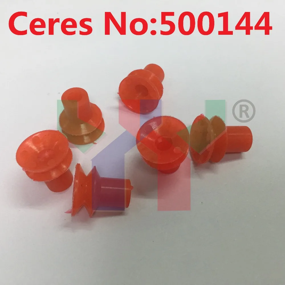 121256008663707825
