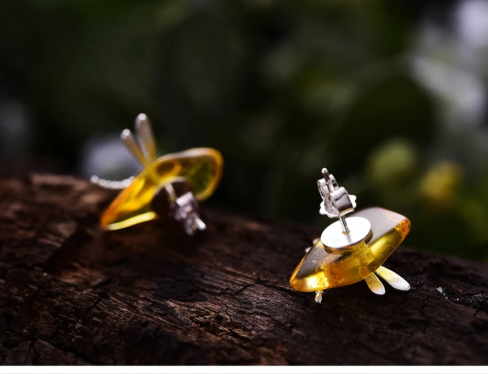 Cute-Dragonfly-LFJA0052_06