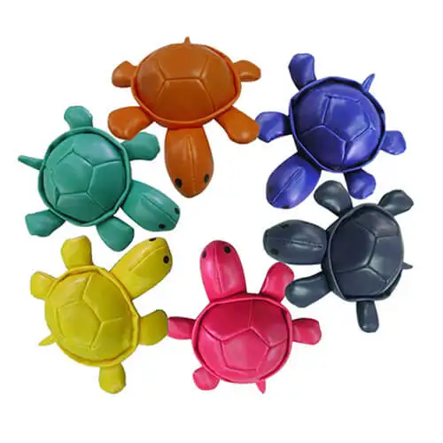 colorful turtle bean bag