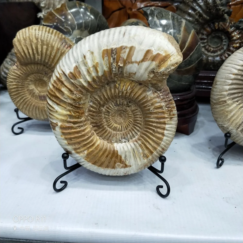 IMG20181108145735