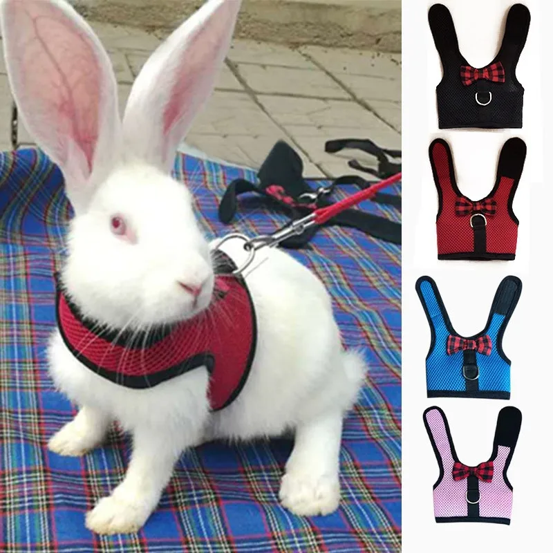 Bunny Vest Harness With Leash Chest strap Rabbits Hamster Amster Bunny