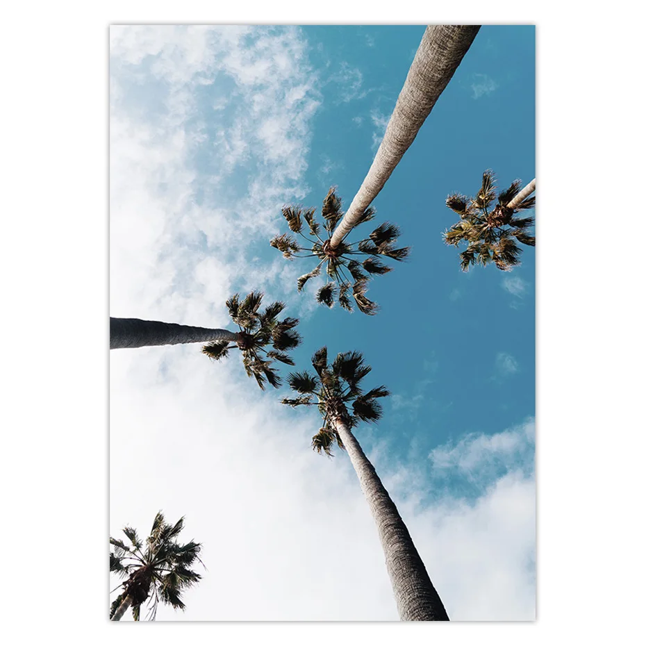 color_opt_2