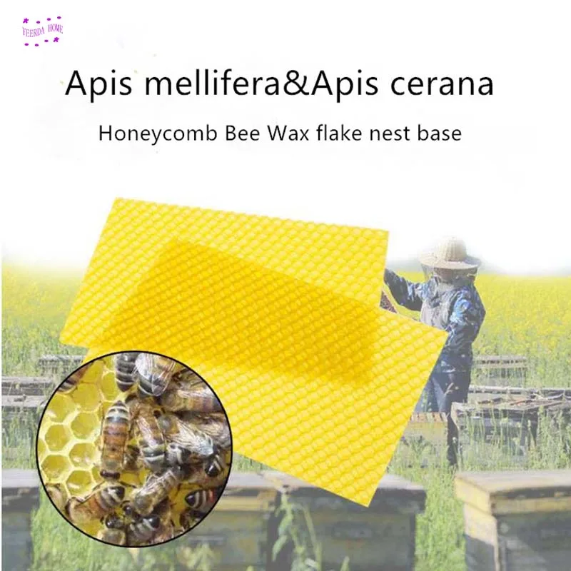 

10pcs Honeycomb Wax Frames Beekeeping Foundation Honey Hive Equipment Tool Apis mellifera&Apis cerana Beekeeping Tools