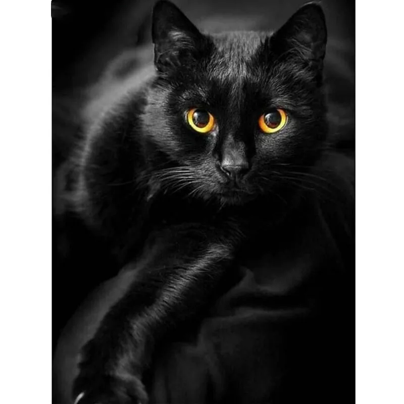 

DIY 5D Diamond Painting Full Square Black Cat Animals Diamond Mosaic Cat Diamond Embroidery Cross Stitch Resin Crafts Home Decor