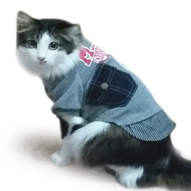 designer cat clothes