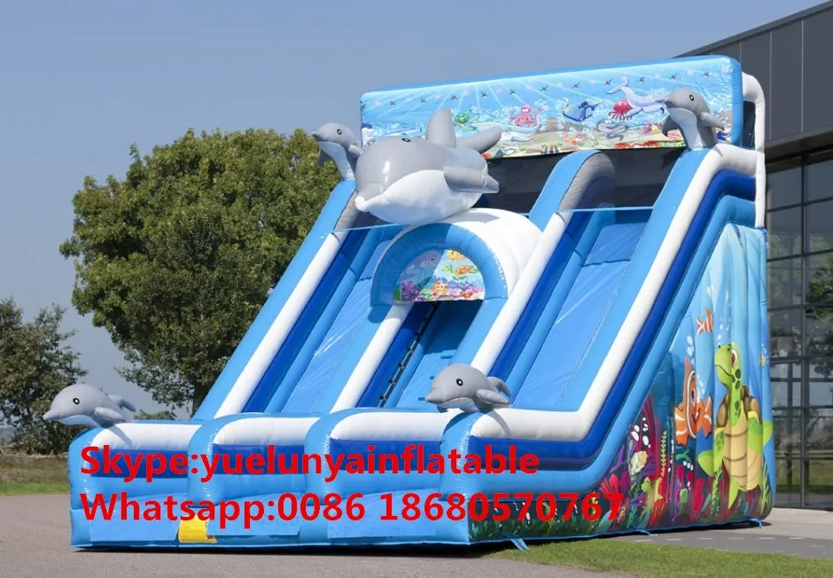 dolfijn_slide-1-940x652_